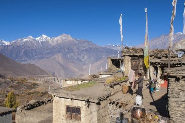 JHARKOT, NEPAL - CIRCA NOVEMBER 2013: Jharkot köylülerinin günlük yaşamı Kasım 2013 dolaylarında Jharkot 'ta.