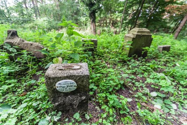 Евангелическое Предвоенное Кладбище Багиче Померани — стоковое фото
