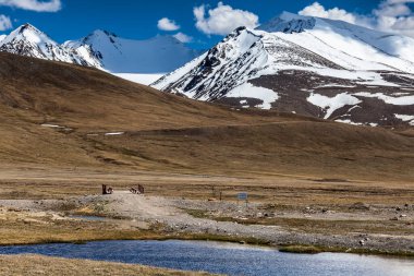 Kırgızistan 'ın Issyk Kul Bölgesinde Barskoon (Arabel) Syrts