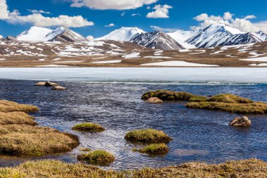 Kırgızistan 'ın Issyk Kul Bölgesinde Barskoon (Arabel) Syrts