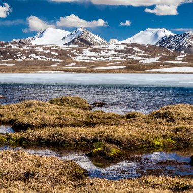 Kırgızistan 'ın Issyk Kul Bölgesinde Barskoon (Arabel) Syrts