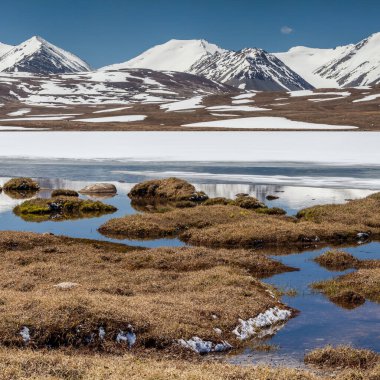 Kırgızistan 'ın Issyk Kul Bölgesinde Barskoon (Arabel) Syrts