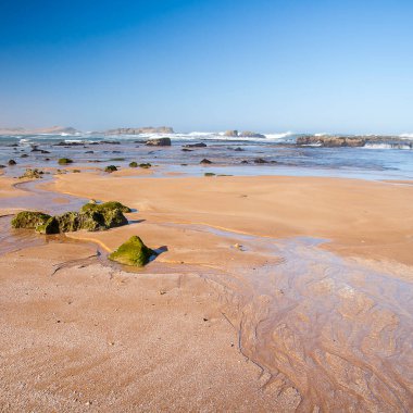 OUALIDIA, MOROCCO - CIRCA EPTEMBER 2014: Oualidia 'nın Eylül 2014' te Oualidia 'da görülmesi.