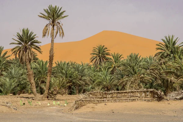 Erg Chebbi Morocco — Stock Photo, Image