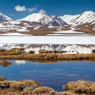 Kırgızistan 'ın Issyk Kul Bölgesinde Barskoon (Arabel) Syrts