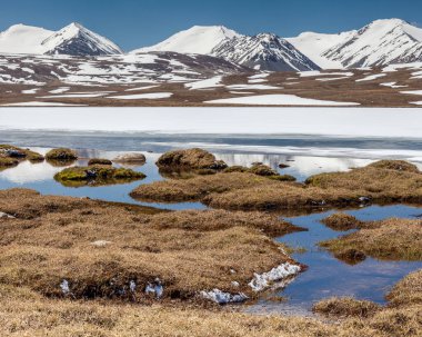 Kırgızistan 'ın Issyk Kul Bölgesinde Barskoon (Arabel) Syrts