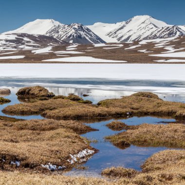 Kırgızistan 'ın Issyk Kul Bölgesinde Barskoon (Arabel) Syrts