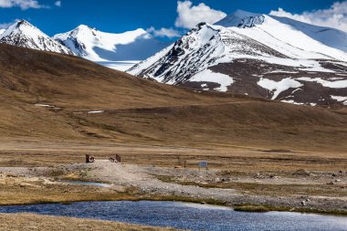 Kırgızistan 'ın Issyk Kul Bölgesinde Barskoon (Arabel) Syrts