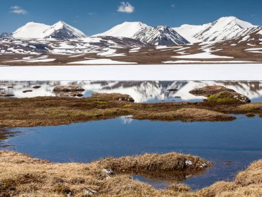 Kırgızistan 'ın Issyk Kul Bölgesinde Barskoon (Arabel) Syrts