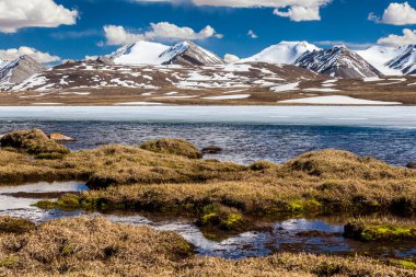 Kırgızistan 'ın Issyk Kul Bölgesinde Barskoon (Arabel) Syrts