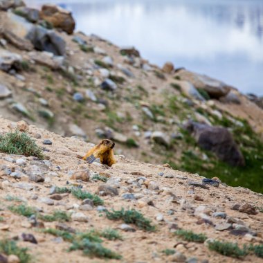 Tacikistan 'da Pamir' de Bulunkul Gölü 'nün güzel manzarası