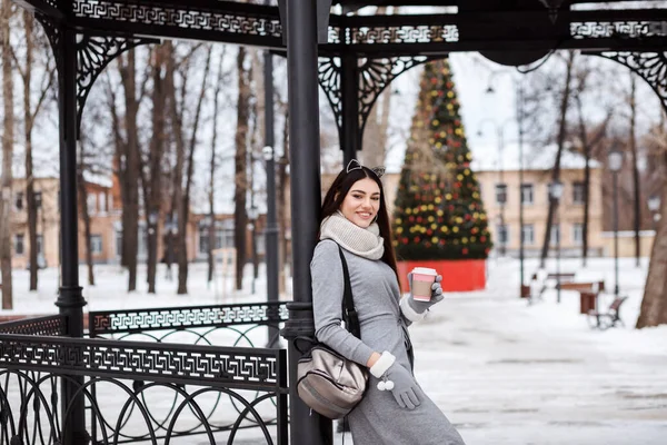 Glücklich Lächelnde Brünette Frau Ruht Winterpark Trinkt Kaffee Steht Vor — Stockfoto