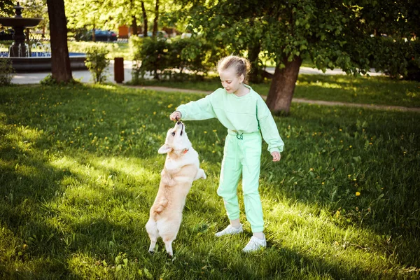 Cute little girl is playing with her welsh corgi pembroke dog outdoors in the park in summer. — Stock Photo, Image