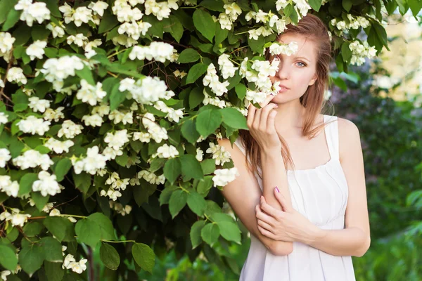 Vacker ung sexig elegant flicka i en vit klänning som står i trädgården nära ett träd med jasmine — Stockfoto