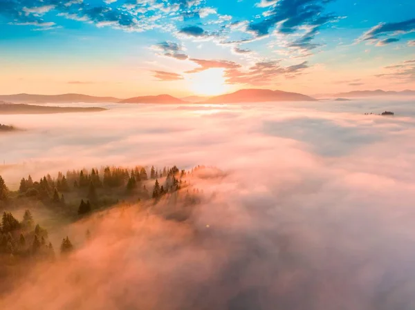 Туман Поширюється Горах Світанку Сонце Сходить Горизонті Уранці Українські Карпати — стокове фото