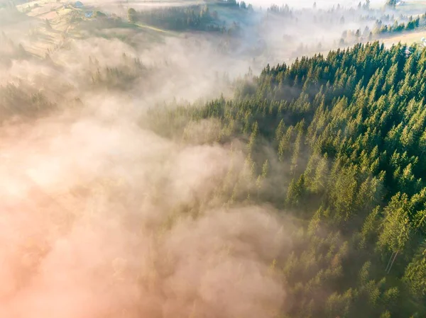 Fog Mountains Early Morning Spreads Slopes Mountains Ukrainian Carpathians Morning — Stock Photo, Image
