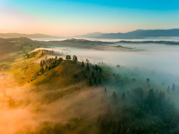 Nad Hřebenem Úsvitu Vznáší Tenká Vrstva Mlhy Svahu Rostou Jedle — Stock fotografie