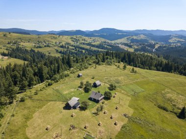 Yazın Ukrayna Karpatları 'nın yeşil dağları. Güneşli açık bir gün. Hava aracı görünümü.