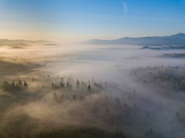 Ukrayna Karpatları 'nda sabah sisi. Hava aracı görünümü.