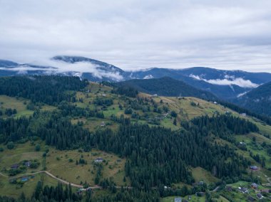 Yazın Ukrayna Karpat Dağları 'nın yeşil yamaçlarında. Bulutlu bir sabah, alçak bulutlar. Hava aracı görünümü.