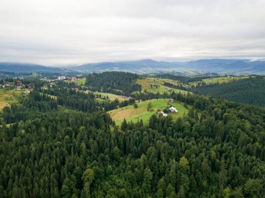 Yazın Ukrayna Karpat Dağları 'nın yeşil yamaçlarında. Bulutlu bir sabah, alçak bulutlar. Hava aracı görünümü.