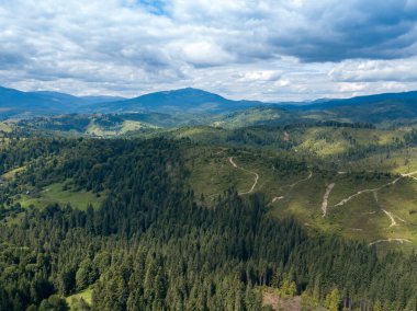 Yazın Ukrayna Karpatları 'nın yeşil dağları. Yamaçlarda kozalaklı ağaçlar. Hava aracı görünümü.