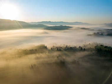 Ukrayna Karpatları 'nda sabah sisi. Hava aracı görünümü.
