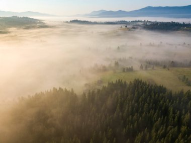 Ukrayna Karpatları 'nda sabah sisi. Hava aracı görünümü.