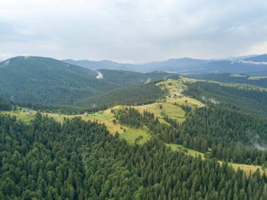 Yazın Ukrayna Karpatları 'nın yeşil dağları. Hava aracı görünümü.