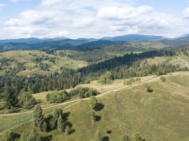 Yazın Ukrayna Karpatları 'nın yeşil dağları. Yamaçlarda kozalaklı ağaçlar. Hava aracı görünümü.