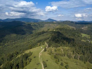 Yazın Ukrayna Karpatları 'nın yeşil dağları. Yamaçlarda kozalaklı ağaçlar. Hava aracı görünümü.