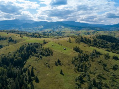 Yazın Ukrayna Karpatları 'nın yeşil dağları. Yamaçlarda kozalaklı ağaçlar. Hava aracı görünümü.