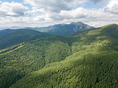 Güneşli havada Ukrayna Karpatlarının yüksek dağları. Hava aracı görünümü.
