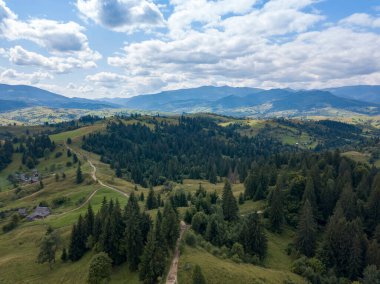 Yazın Ukrayna Karpatları 'nın yeşil dağları. Yamaçlarda kozalaklı ağaçlar. Hava aracı görünümü.