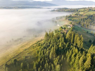 Ukrayna Karpatya dağlarında sabah sisi. Hava aracı görünümü.