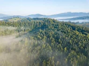 Sabah sisinde Ukrayna Karpatları 'nın yeşil dağları. Hava aracı görünümü.