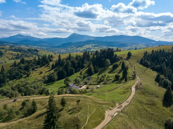 Zielone Góry Karpat Ukraińskich Lecie Drzewa Iglaste Stokach Widok Drona — Zdjęcie stockowe