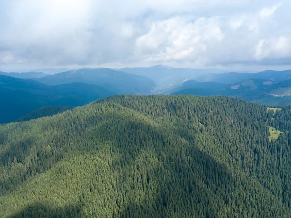 Grüne Berge Der Ukrainischen Karpaten Sommer Sonniger Tag Seltene Wolken — Stockfoto