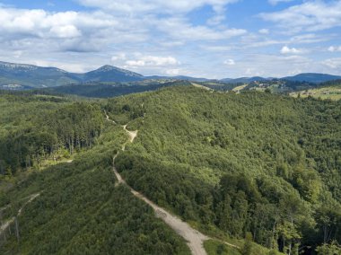 Yazın Ukrayna Karpatları 'nın yeşil dağları. Yamaçlarda kozalaklı ağaçlar. Hava aracı görünümü.