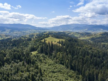 Yazın Ukrayna Karpatları 'nın yeşil dağları. Yamaçlarda kozalaklı ağaçlar. Hava aracı görünümü.