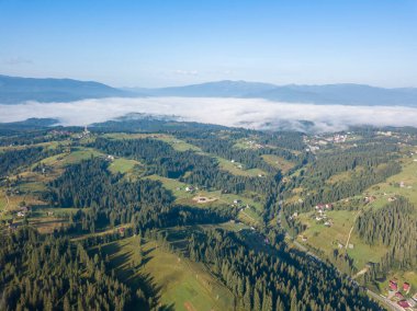 Bir yaz sabahı Ukrayna Karpatları dağları. Hava aracı görünümü.