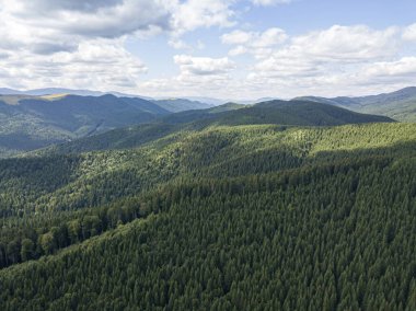 Yazın Ukrayna Karpat Dağları 'nın yeşil yamaçlarında. Bulutlu bir sabah, alçak bulutlar. Hava aracı görünümü.