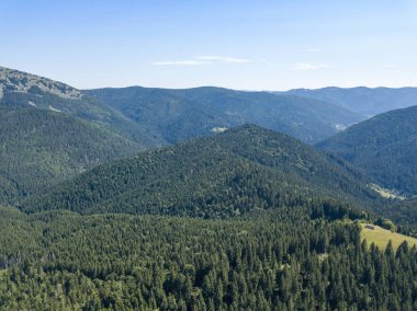 Yazın Ukrayna Karpatları 'nın yeşil dağları. Güneşli açık bir gün. Hava aracı görünümü.