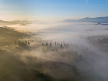 Ukrayna Karpatları 'nda sabah sisi. Hava aracı görünümü.