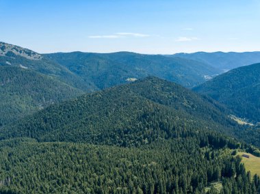 Yazın Ukrayna Karpatları 'nın yeşil dağları. Güneşli açık bir gün. Hava aracı görünümü.