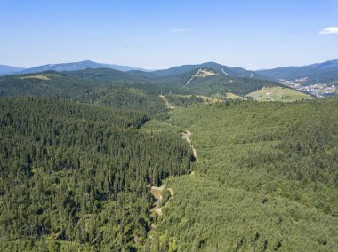 Yazın Ukrayna Karpatları 'nın yeşil dağları. Güneşli açık bir gün. Hava aracı görünümü.