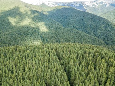 Güneşli havada Ukrayna Karpatlarının yüksek dağları. Hava aracı görünümü.