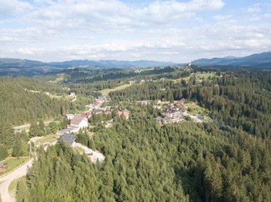 Yazın Ukrayna Karpatları 'nın yeşil dağları. Yamaçlarda kozalaklı ağaçlar. Hava aracı görünümü.