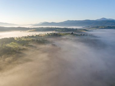 Ukrayna Karpatları 'nda sabah sisi. Hava aracı görünümü.