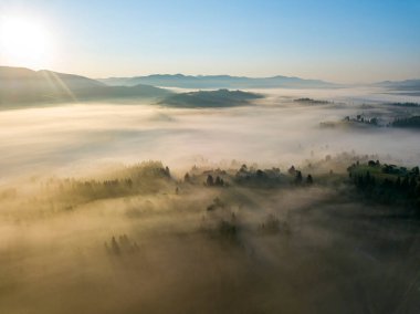 Ukrayna Karpatları 'nda sabah sisi. Hava aracı görünümü.